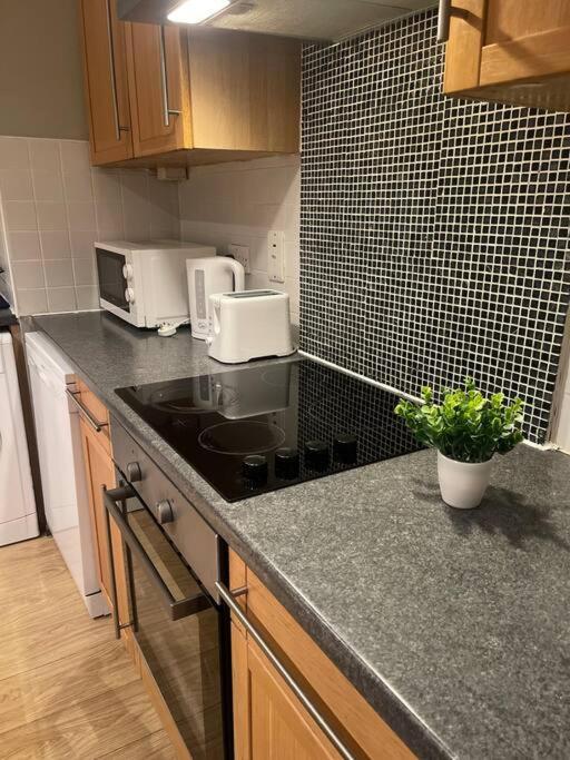 In Dublin'S Best Tourist Spot Temple Bar Fully Renovated Экстерьер фото